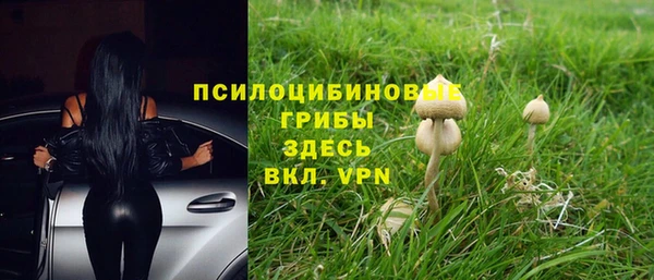 PSILOCYBIN Баксан