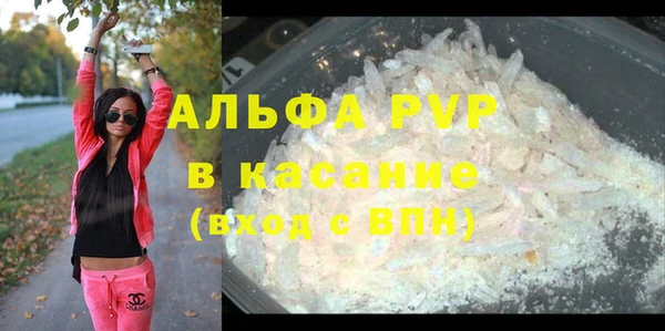 PSILOCYBIN Баксан